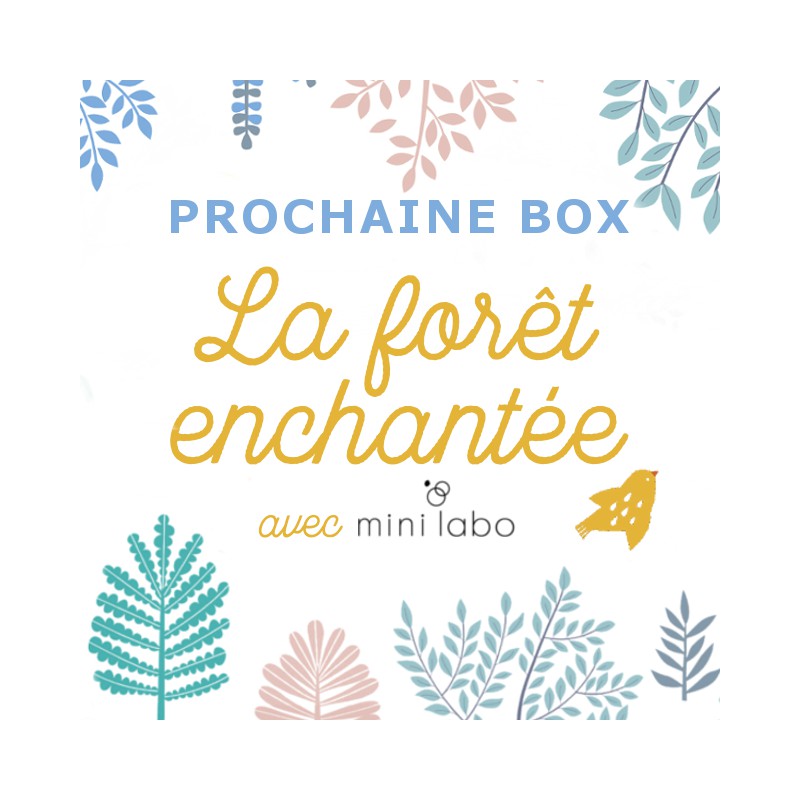 Box cadeau La Forêt enchantée