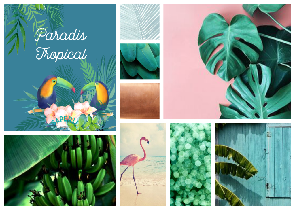 Mood board Box papeterie jungle et exotique