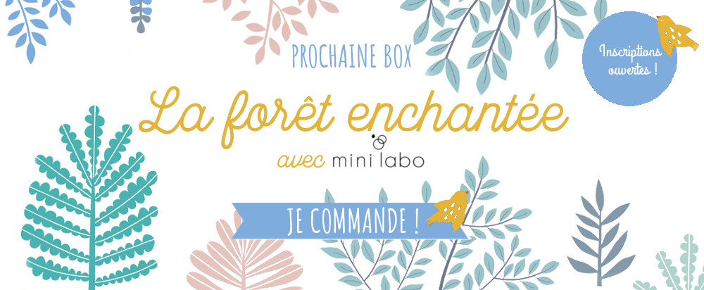 Une collab SAperlipapier x Mini Labo pour un coffret de papeterie créative